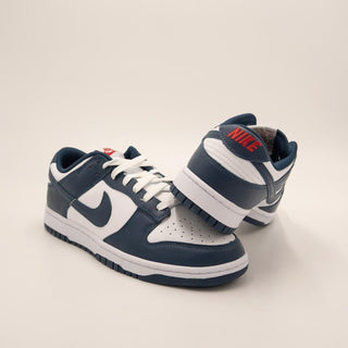 Dunk Low Valerian Blue