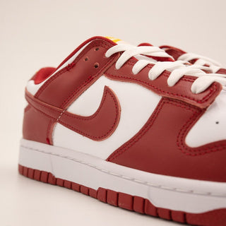 Dunk Low USC